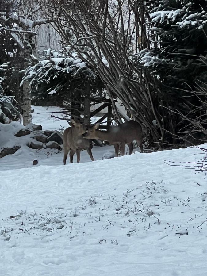 Le Chalet De Juliette Gérardmer Dış mekan fotoğraf