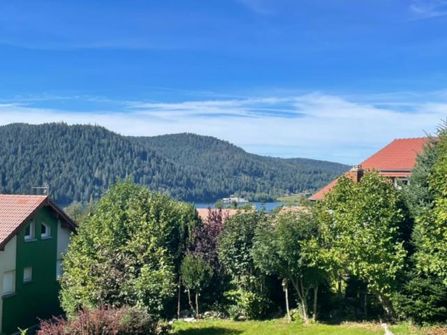 Le Chalet De Juliette Gérardmer Dış mekan fotoğraf