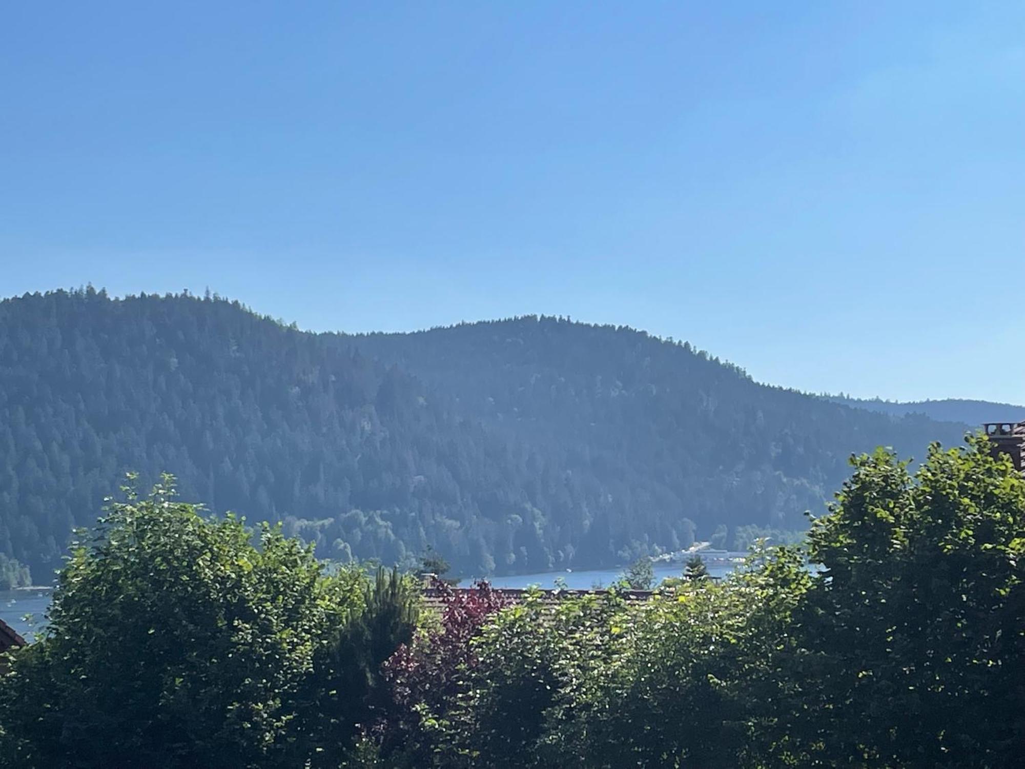 Le Chalet De Juliette Gérardmer Dış mekan fotoğraf