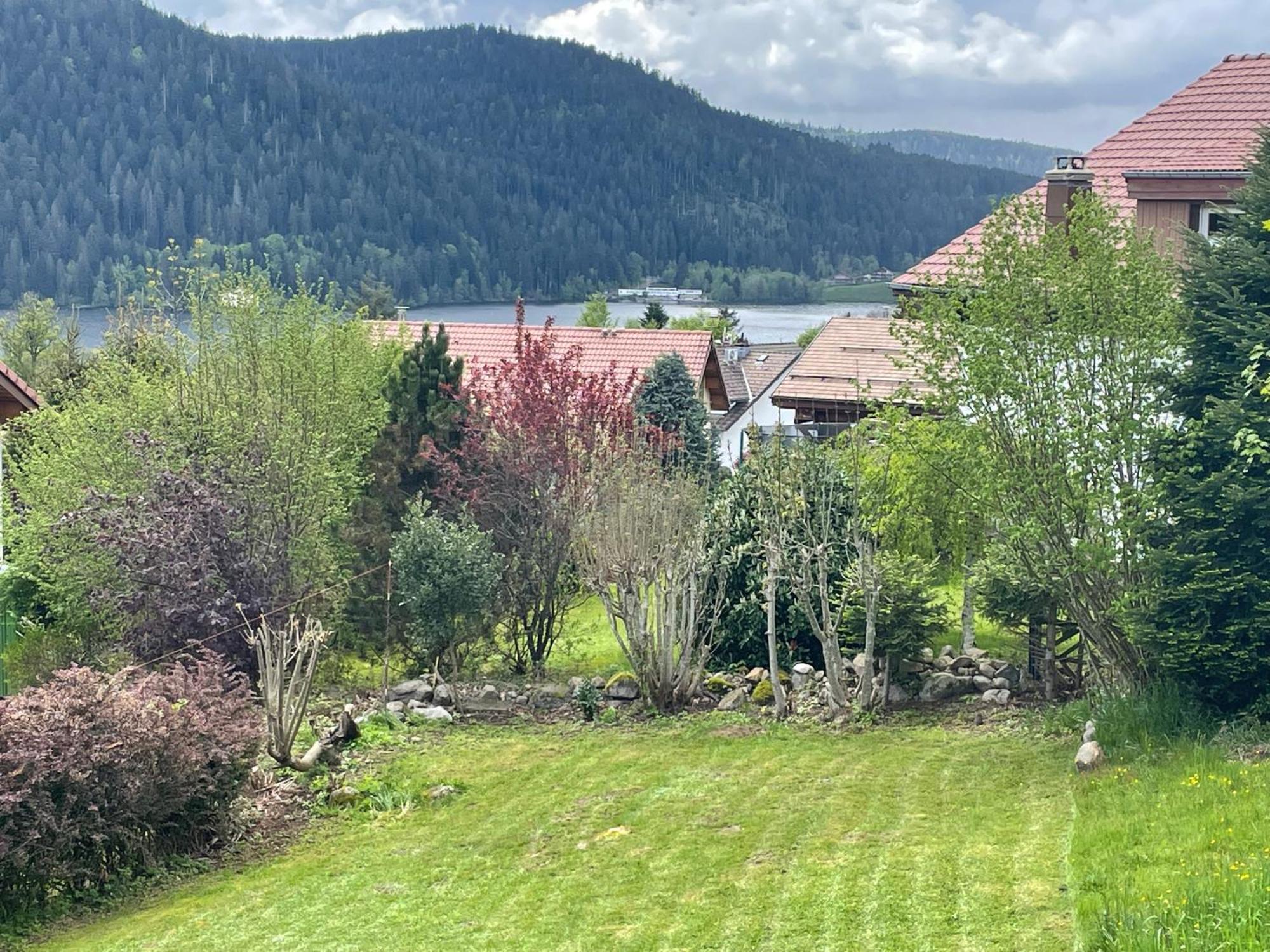 Le Chalet De Juliette Gérardmer Dış mekan fotoğraf